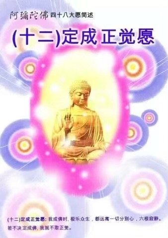 CE1BAD0A-5C38-4EE0-8148-A11E153D9019.jpeg