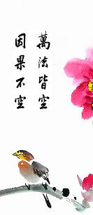 净空法师开示：塞老鼠洞的果报