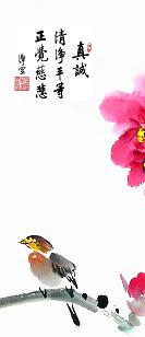 净空法师开示：他的磁场不一样！