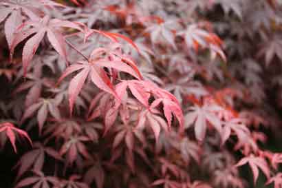 奇迹！这个人被砍三刀竟无事