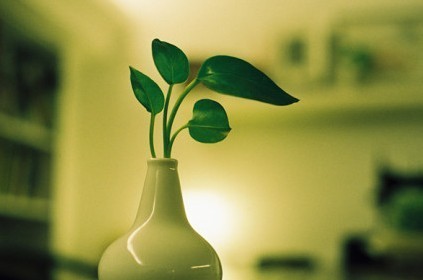 嘲笑他人得现报