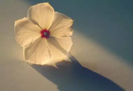 原谅别人也是善待自己