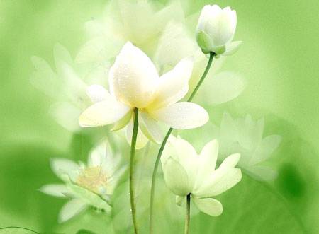 贪婪，是我们最大的烦恼和障碍