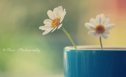 原谅别人就是善待自己