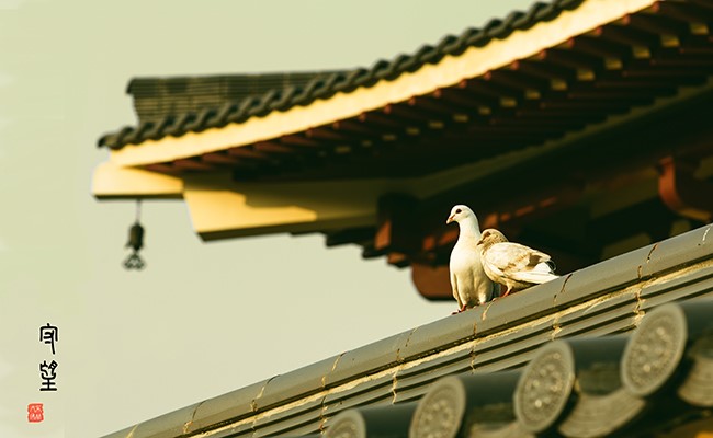 不必为失去而难过