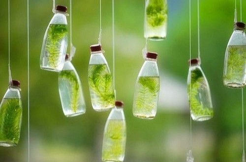 生命中最好的年龄