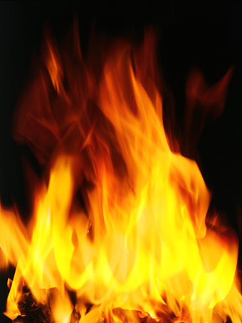 太子投火自焚 只为满足这件事