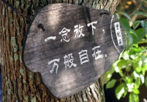 一念不生全体现，六根忽动被云遮