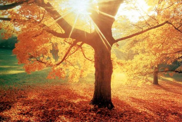 净极光通达，就能开大智慧