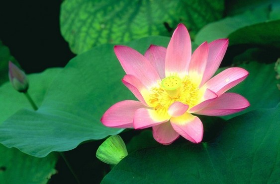 知福惜福才能做心灵环保