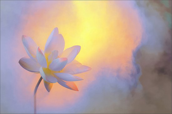 一失人身万劫不复，岂可轻言自杀