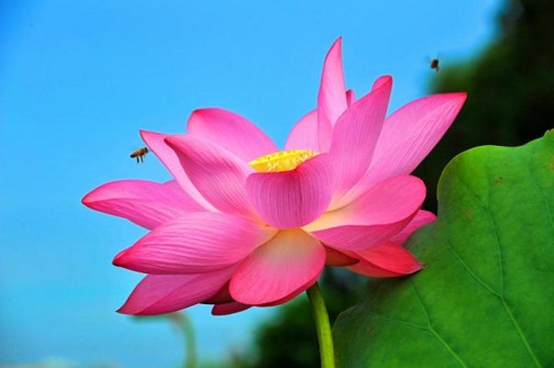 佛书若示有版权，则阻遏流通之罪甚重