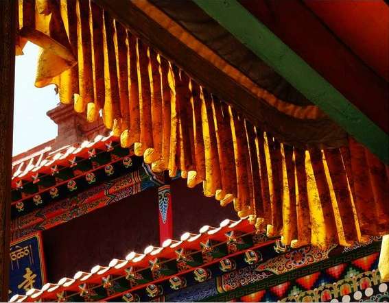 轻僧慢法之习气，实为学道之障