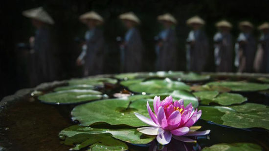 念佛之人当吃长素