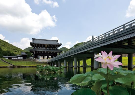 发露忏悔于净土法门最易相应