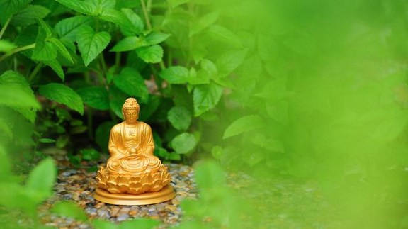 子女夭折该如何对待