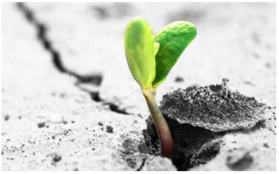 印光大师论逆境