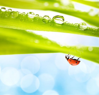 因果复杂，肉眼凡夫不能明了