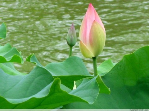 新世纪，新伦理