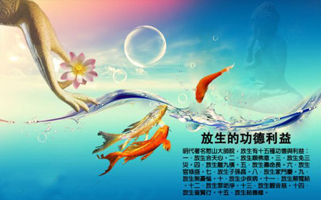 坚持大放生，天赐财富50万.jpg