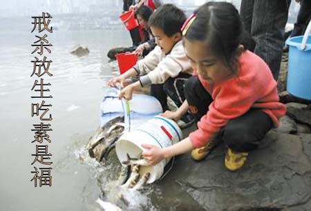 吃素也是放生.jpg