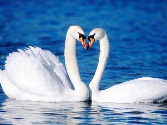 福业相当，方为夫妇