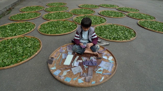 弃老取幼，家之不祥