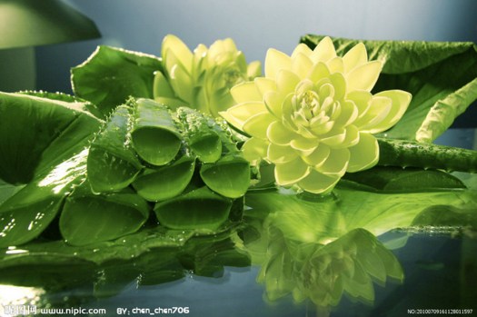 六种败夫的女人