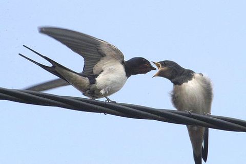 六道之中，情难长久