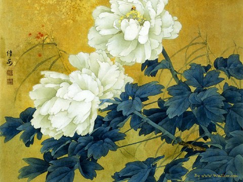 男欢女爱的十一个疑问