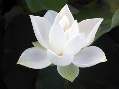 男女间交往须知