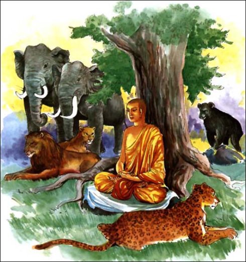 一屋不扫，何以扫天下呢