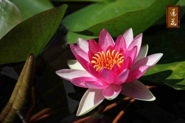 对婚姻损害比较大的几个主要原因