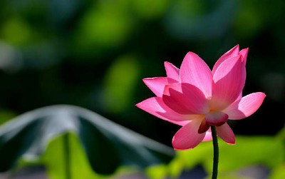 明朝郑兴儿:不贪人财积德改命的故事