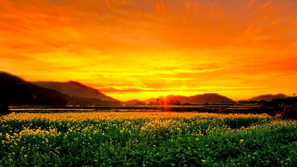 相同八字与不同命运