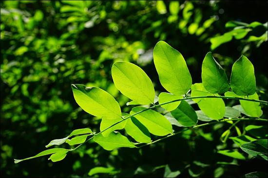 接纳不幸才是人生幸福的首要保障