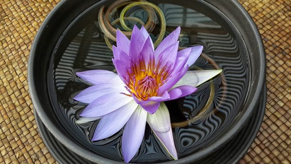 人生不幸中的万幸