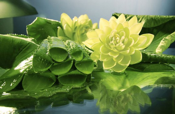 曾国藩的观人四法：信、气、理、言