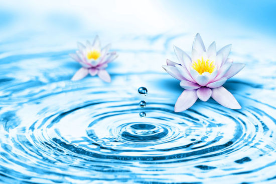 人生之苦迫及其解脱