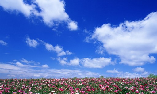 做人做事，败于10忌，成于10悟