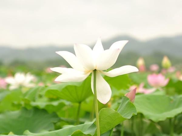 给青春的十五句忠告