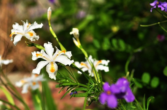 人生起起落落，佛法让我重生
