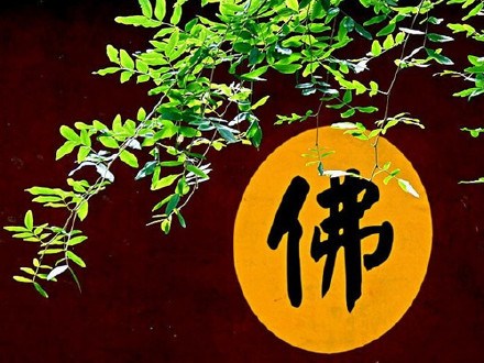 截断世人生死路，别开化外一乾坤