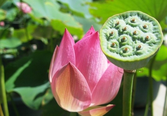 这才是人生真正的富贵