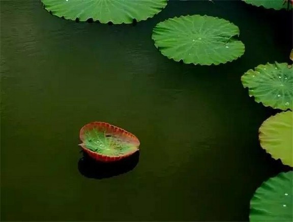 一个人是否有智慧，可从这四点来判断