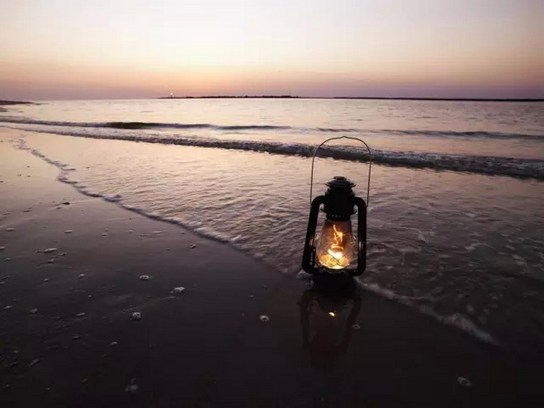 在这世间我们很多事情都做不了主