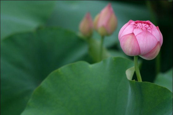 「怕死」的人，有六个好处