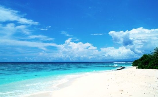 人品不过关，其他都是扯谈