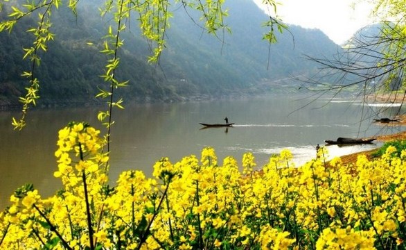 用心去看清这人生的真相