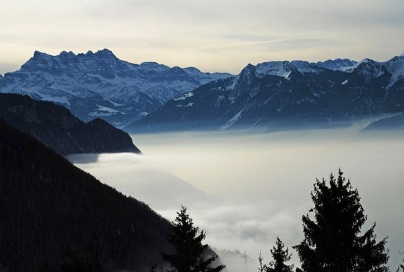 世界上没有所谓的完美人生